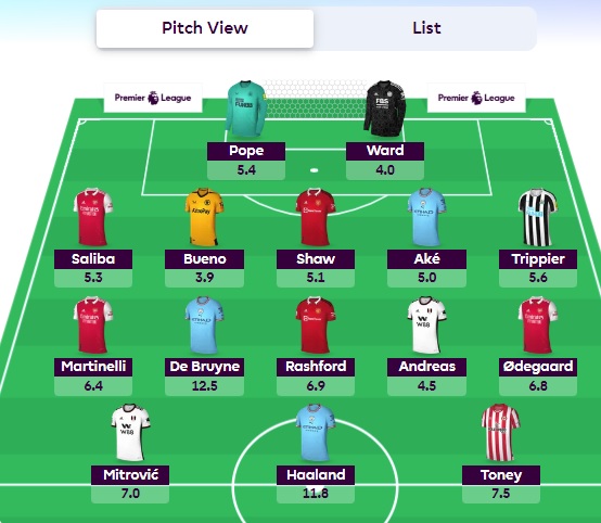 fpl gw21 wildcard team selection