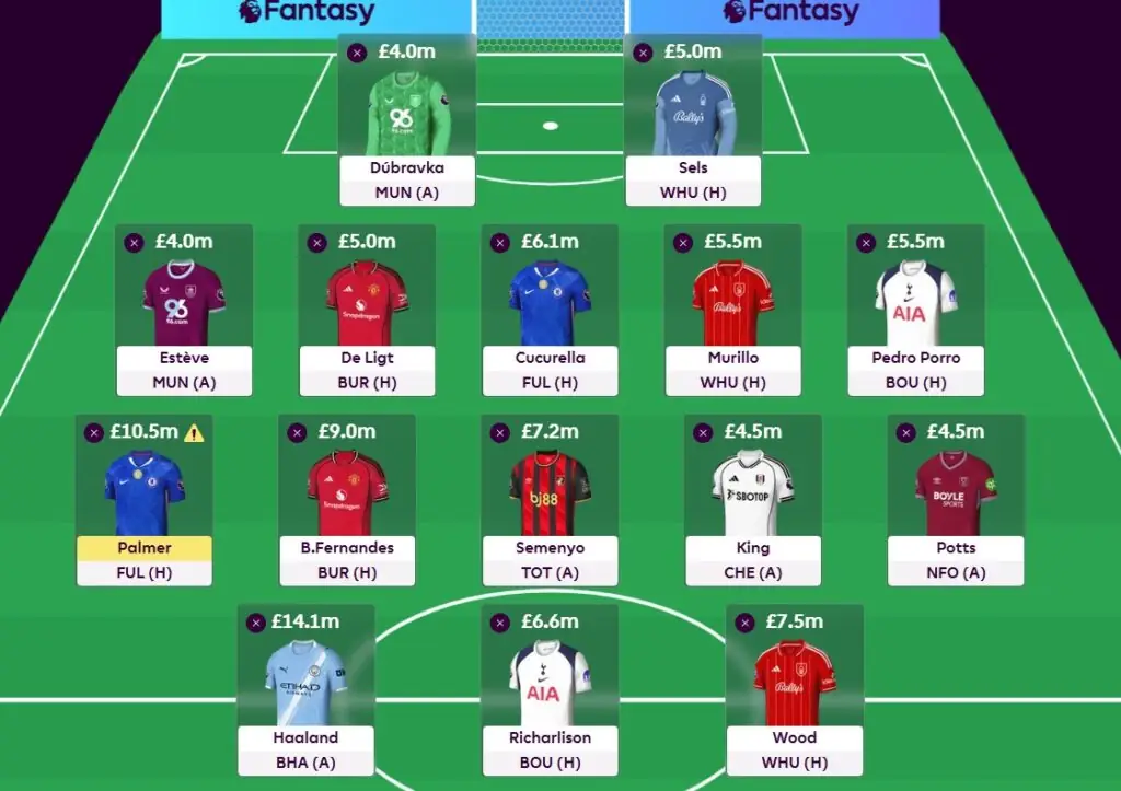 fpl gw3 free hit team fpl gw3 free hit team