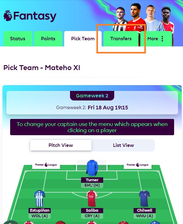 fpl transfers