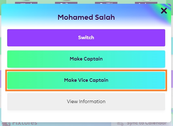 select vice captain fpl